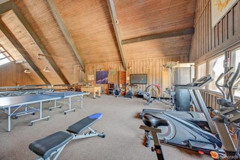 10795 County Road 197a Nathrop CO 81236