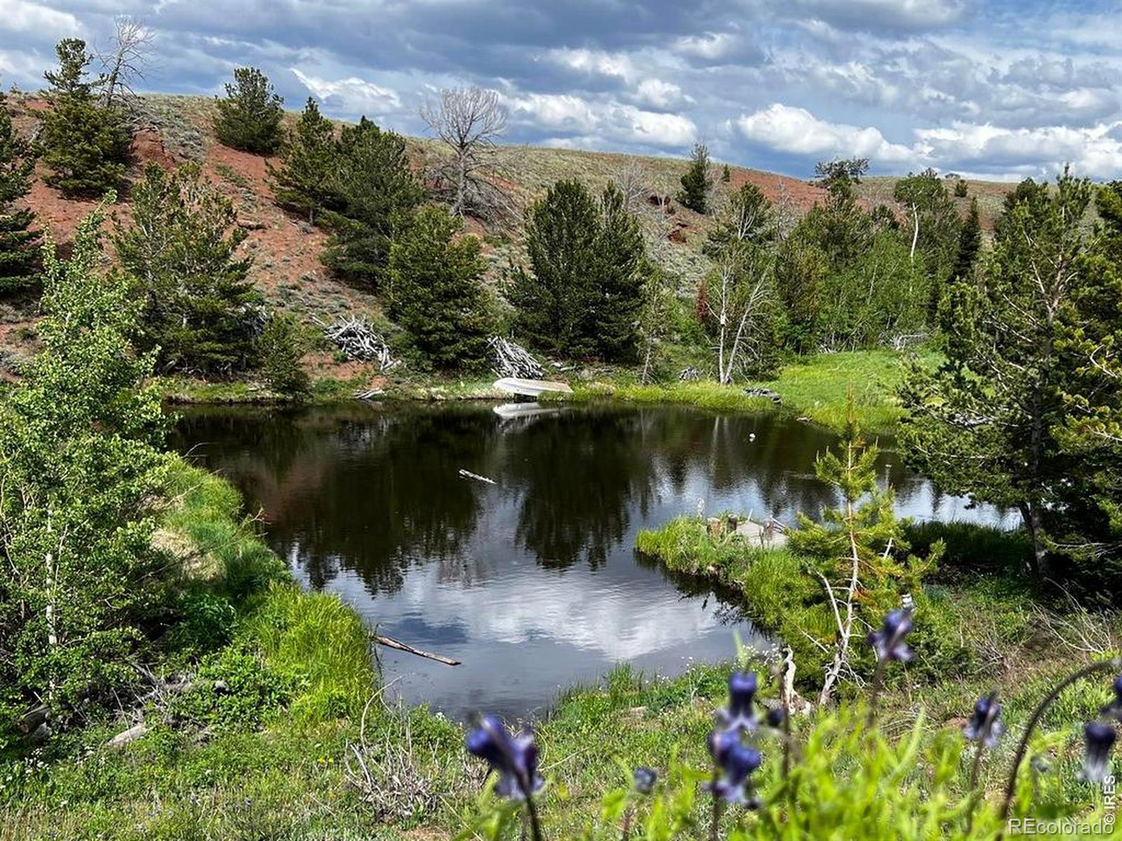 130 Forest Way Red Feather Lakes CO 80545