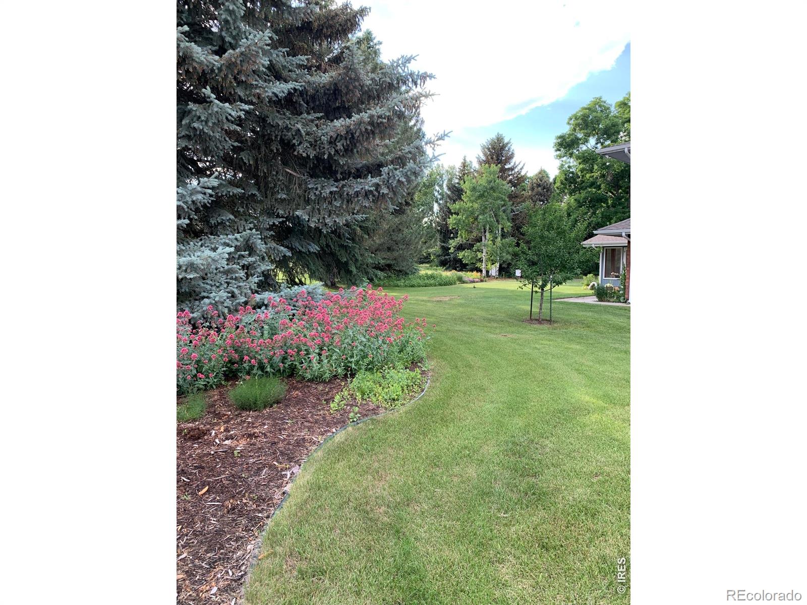 1405 Wimbledon Court Fort Collins CO 80524