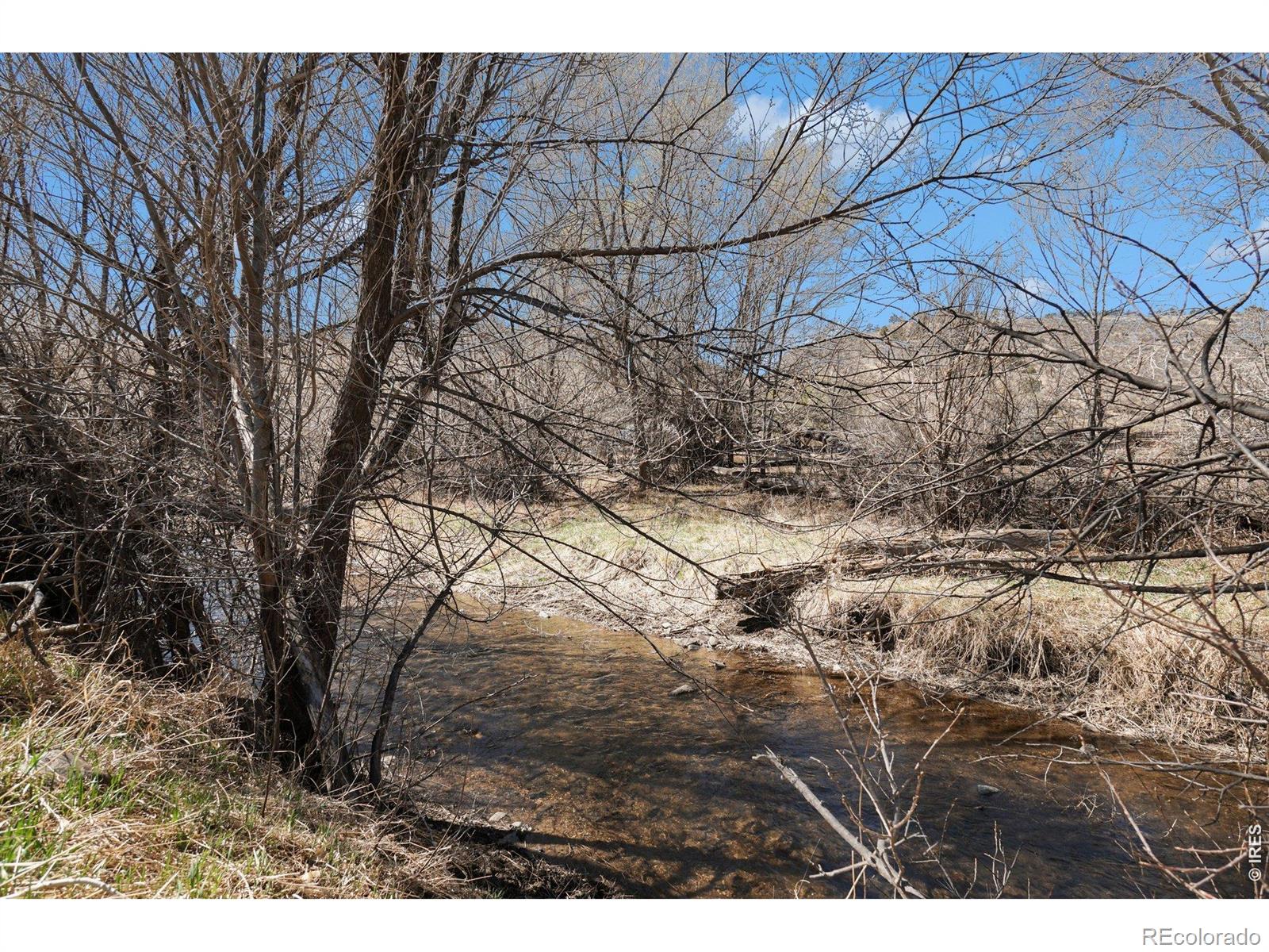 10723 Buckhorn Ridge Way Loveland CO 80538