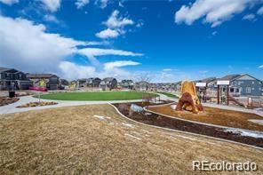 2603 Mayotte Way Castle Rock CO 80109