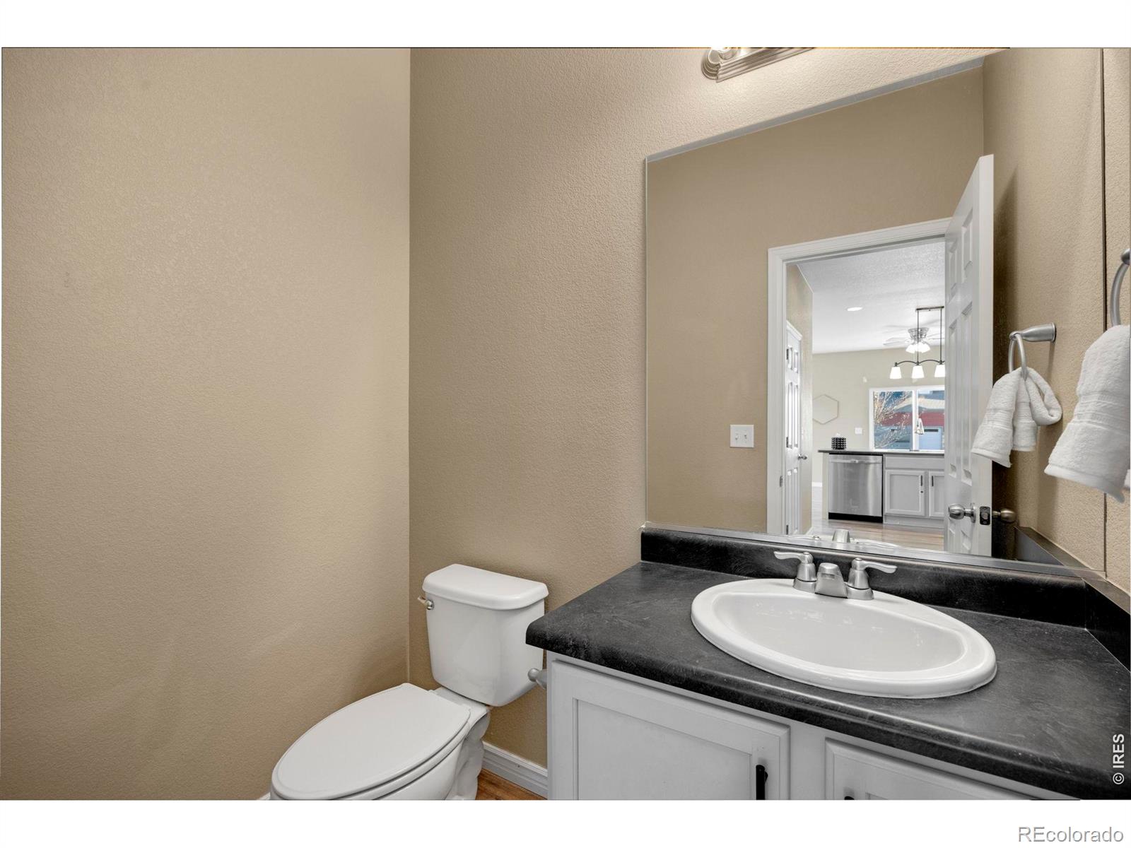 1555 Benfleet Court Windsor CO 80550