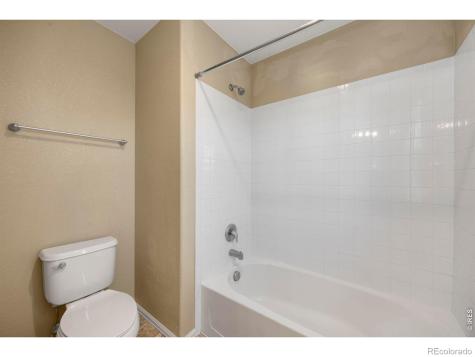 1555 Benfleet Court Windsor CO 80550