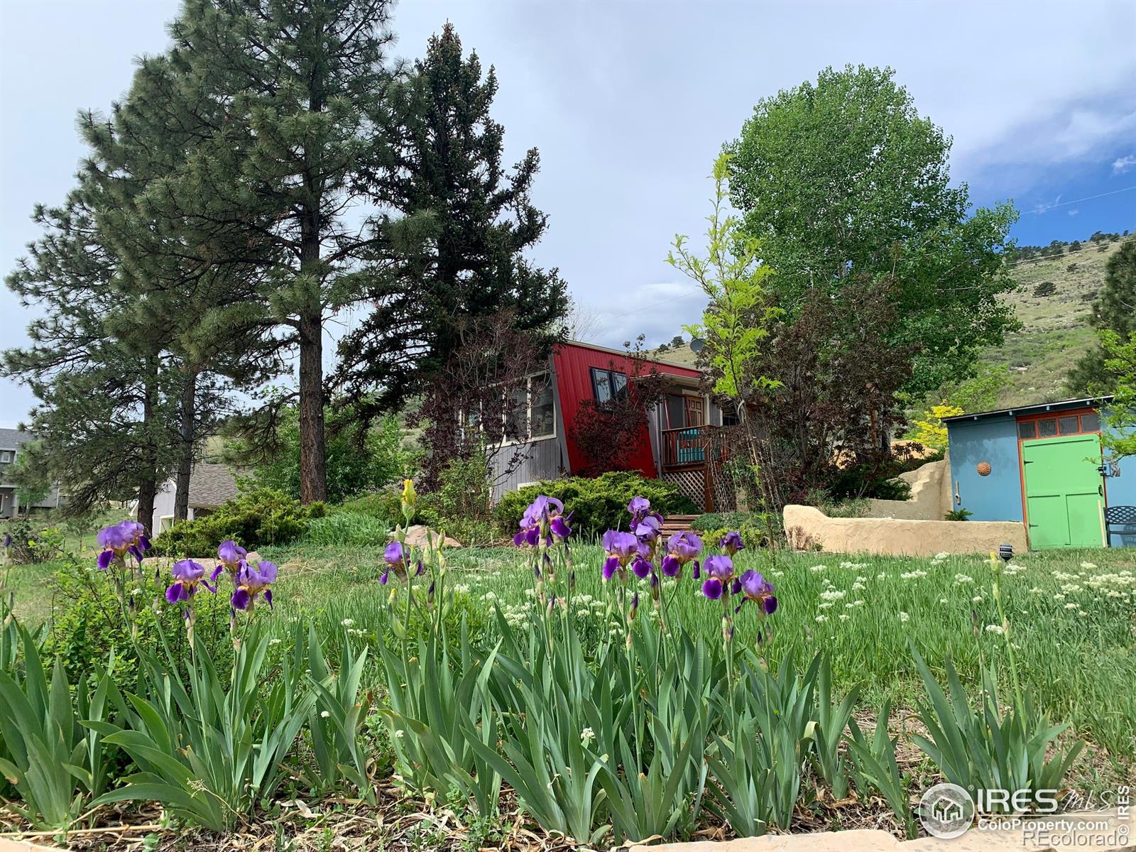 12041 Twilight Street Longmont CO 80503
