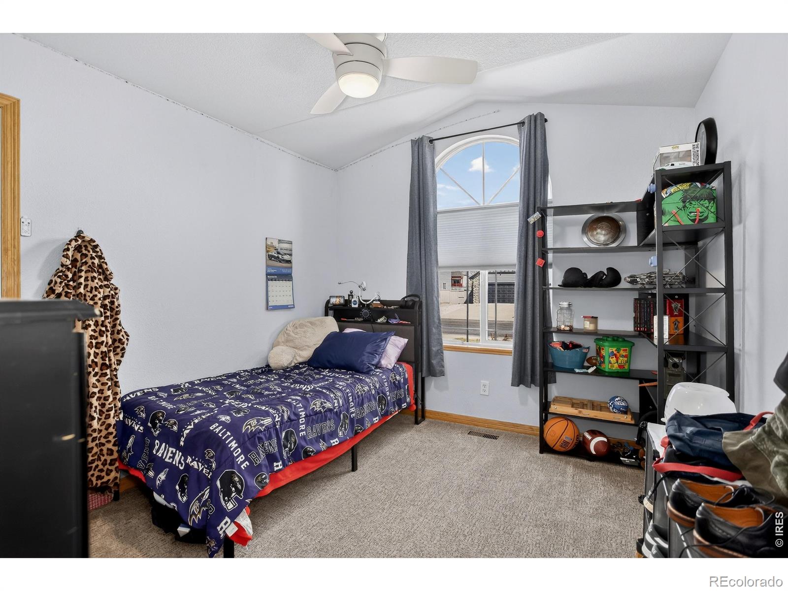 3387 Firewater Lane Wellington CO 80549