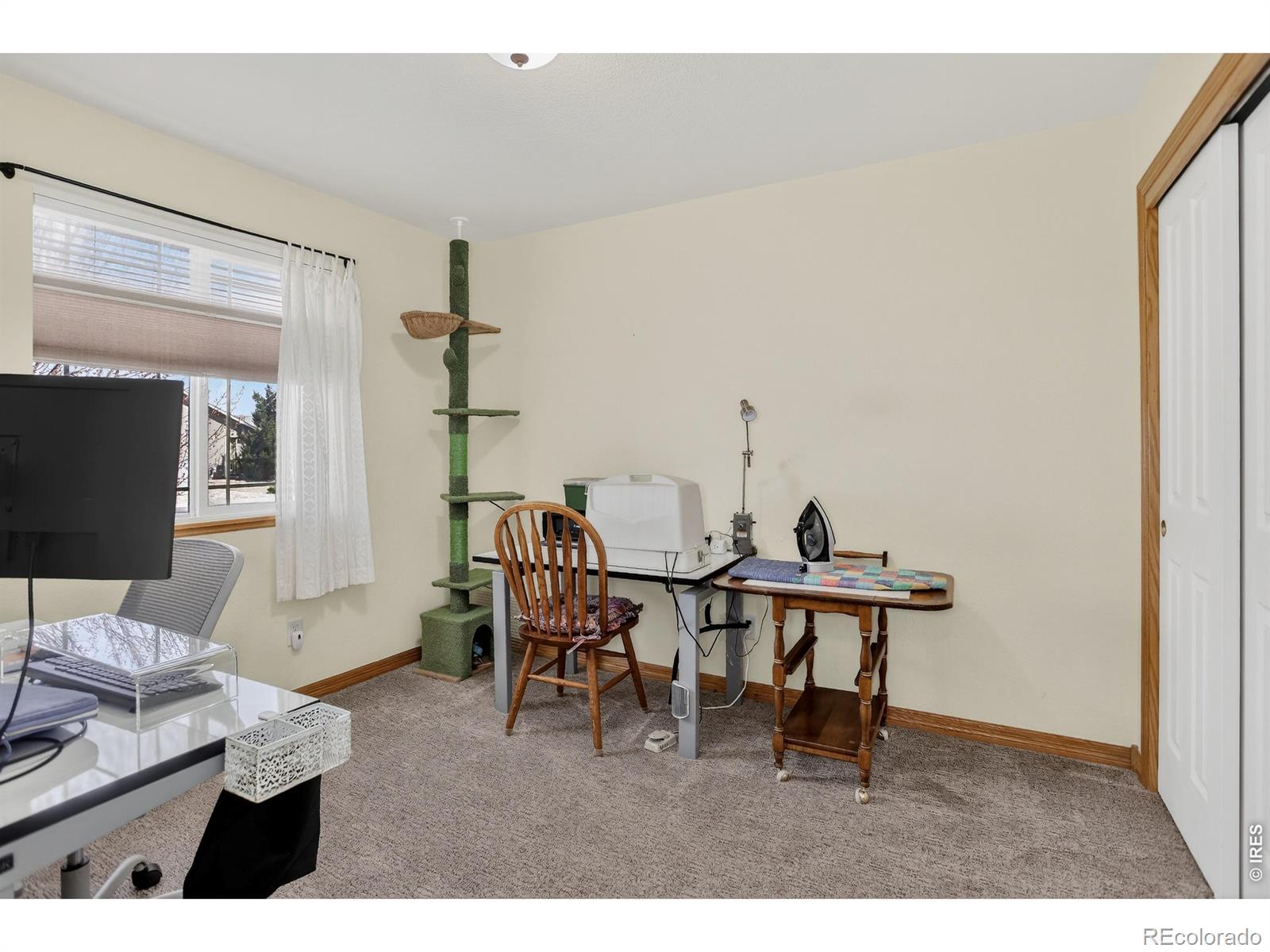 3387 Firewater Lane Wellington CO 80549
