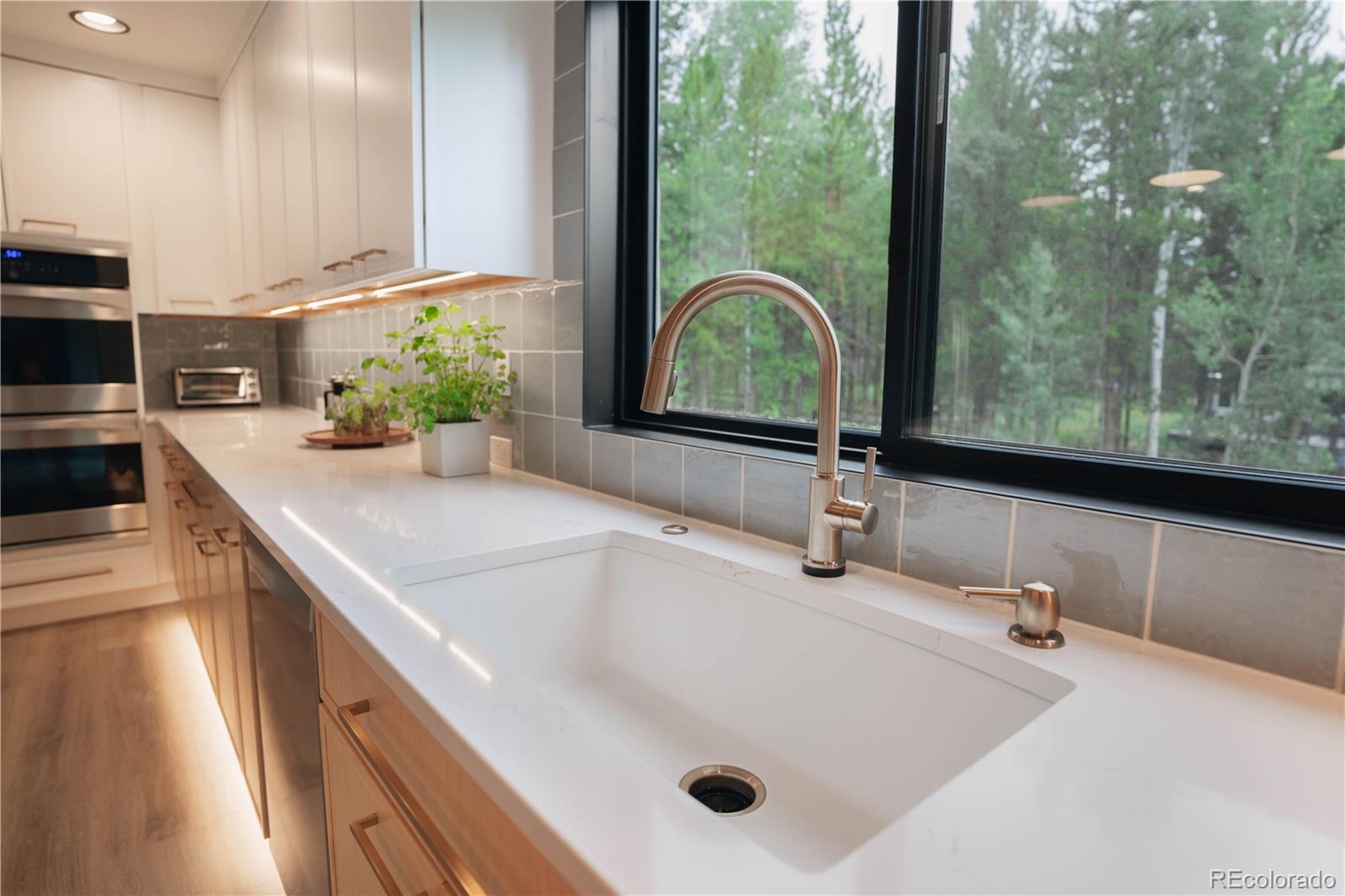 1709 Red Hawk Road Silverthorne CO 80498