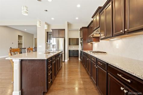 10222 Atlanta Street Parker CO 80134
