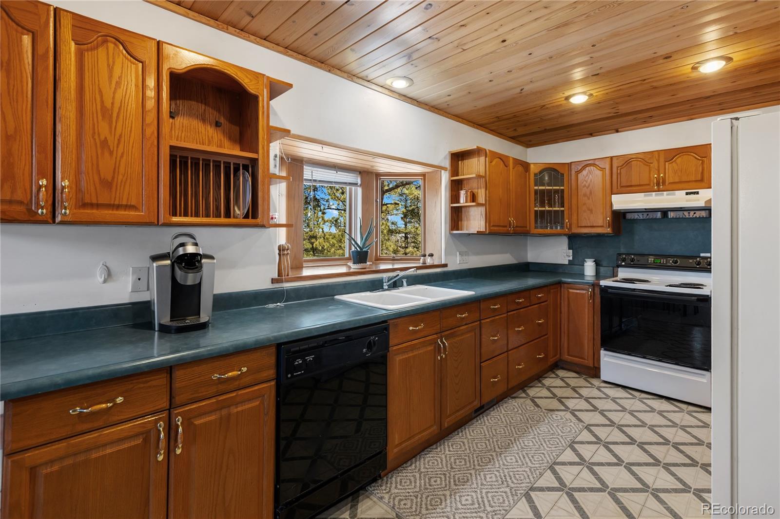 256 Elkhorn Road Florissant CO 80816