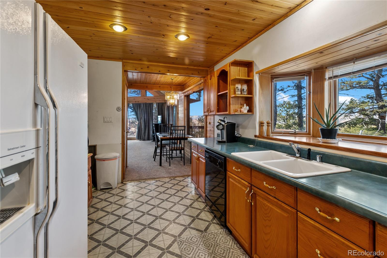 256 Elkhorn Road Florissant CO 80816