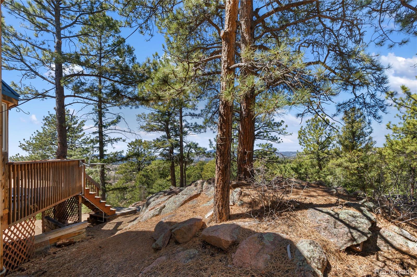 256 Elkhorn Road Florissant CO 80816