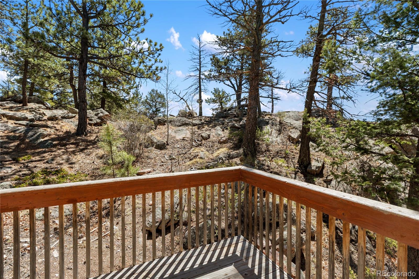256 Elkhorn Road Florissant CO 80816
