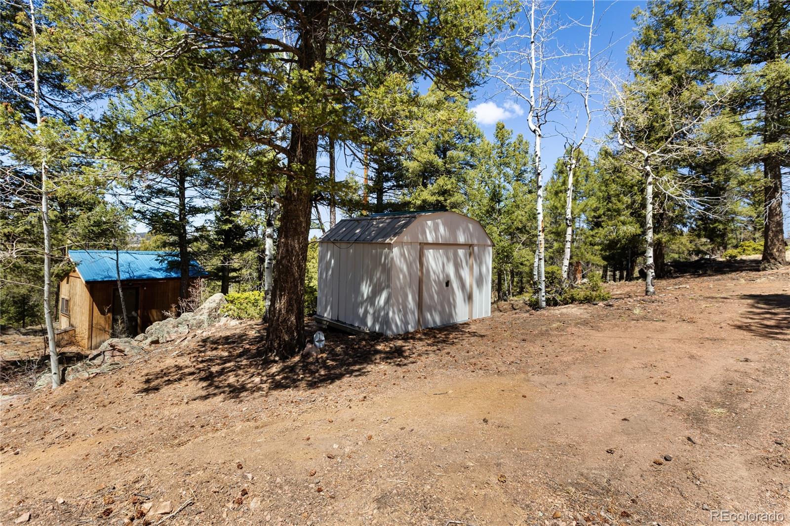 256 Elkhorn Road Florissant CO 80816