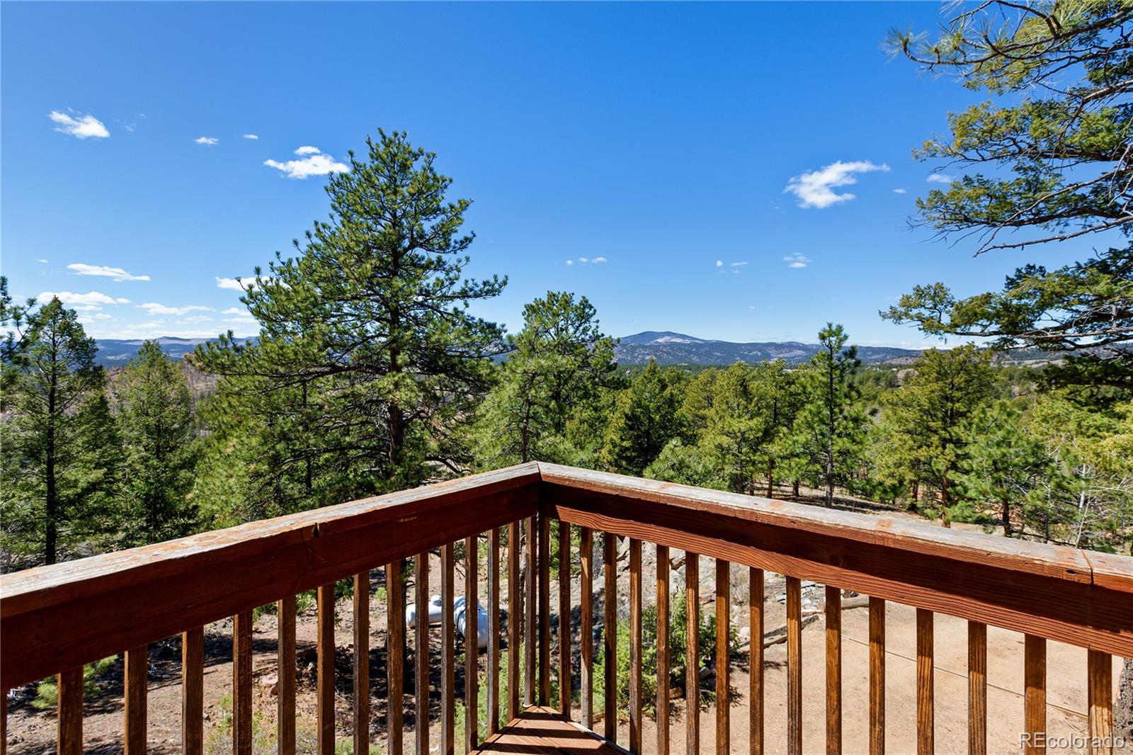 256 Elkhorn Road Florissant CO 80816
