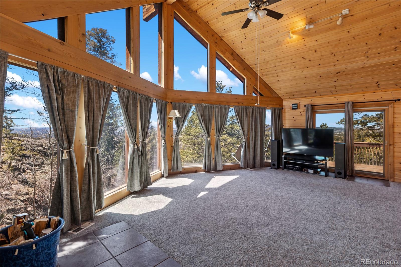 256 Elkhorn Road Florissant CO 80816