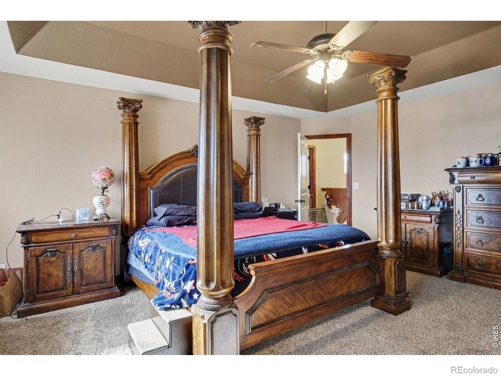 4546 Tarragon Drive Johnstown CO 80534