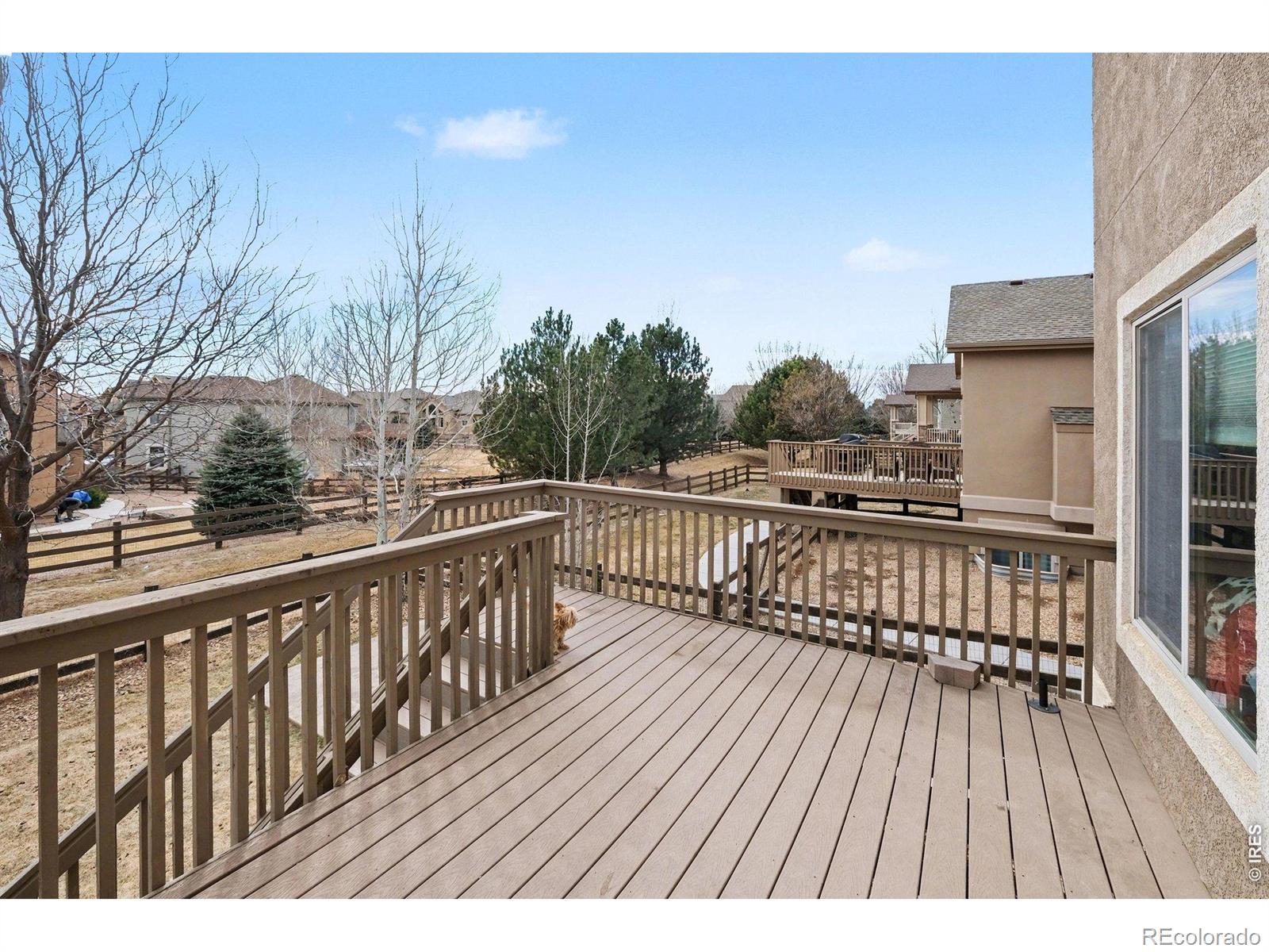 4546 Tarragon Drive Johnstown CO 80534