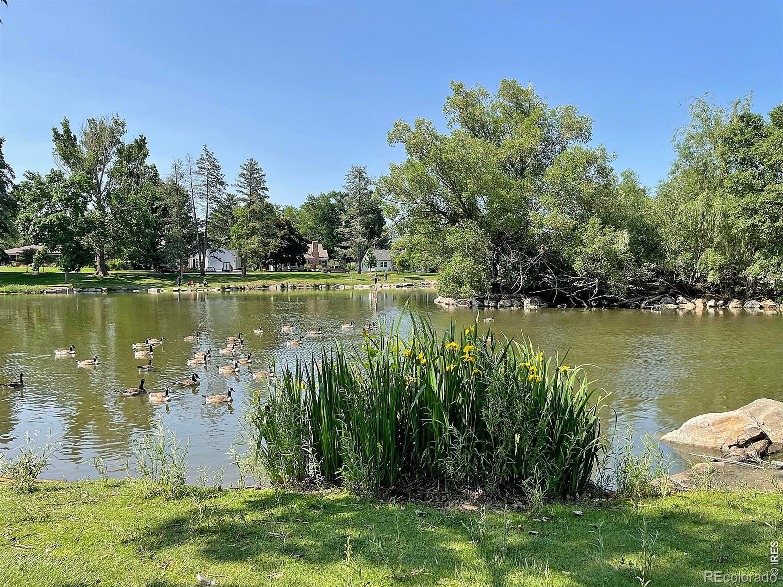 2082 19th Avenue Greeley CO 80631