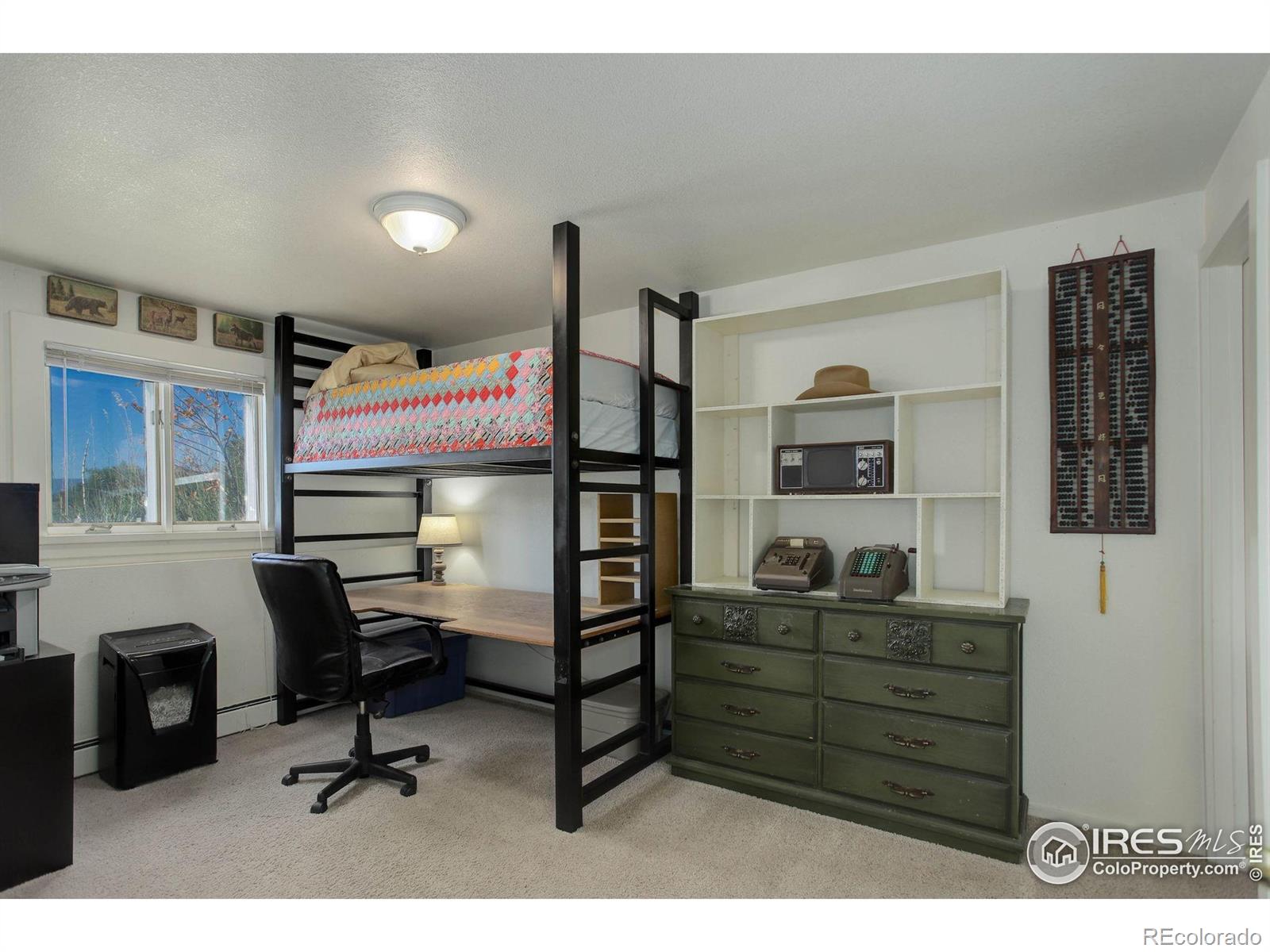 8586 N 55th Street Longmont CO 80503