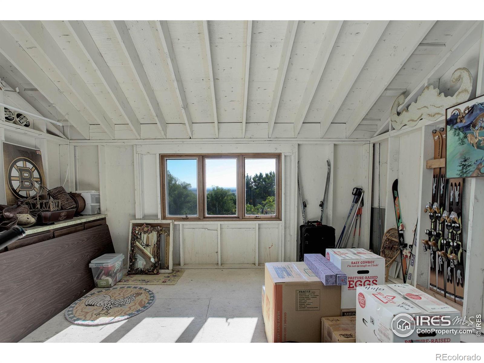 8586 N 55th Street Longmont CO 80503