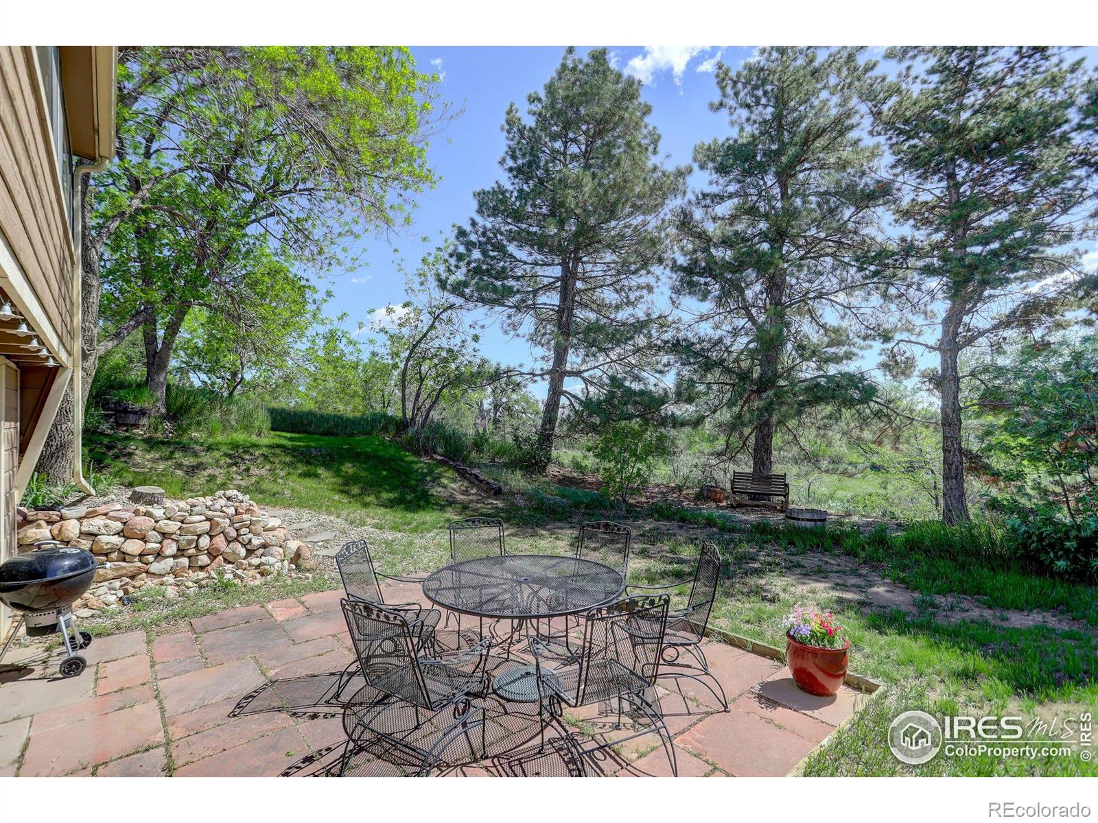 8586 N 55th Street Longmont CO 80503