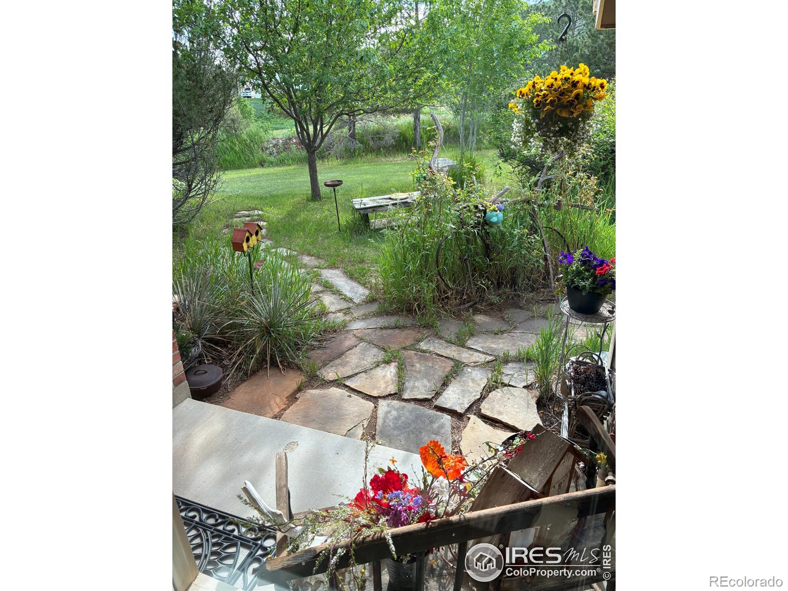 8586 N 55th Street Longmont CO 80503