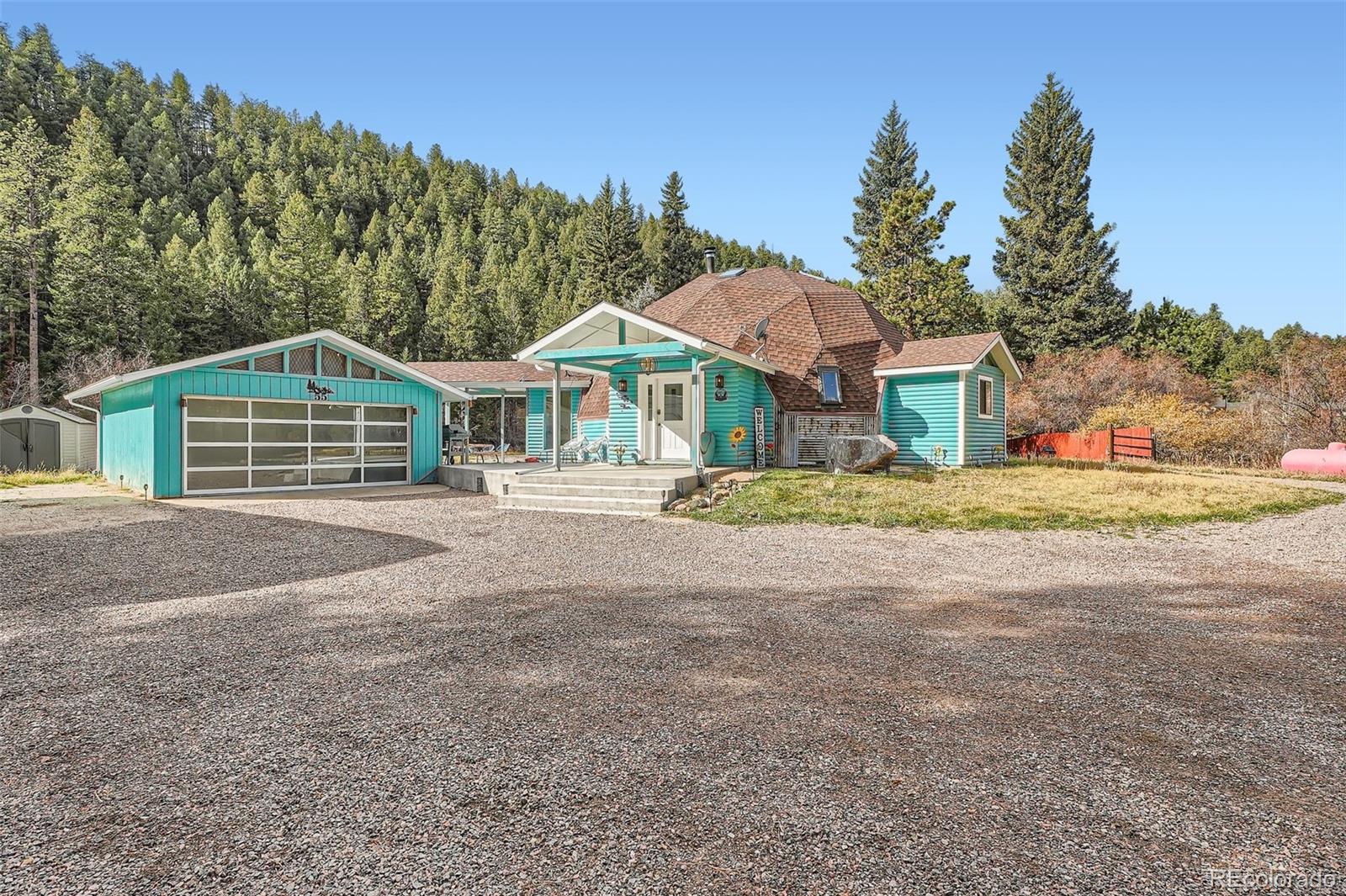 55 Iron Horse Lane Bailey CO 80421