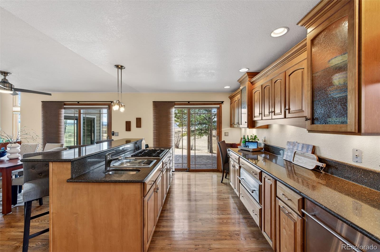 9696 E Sand Lily Lane Parker CO 80134