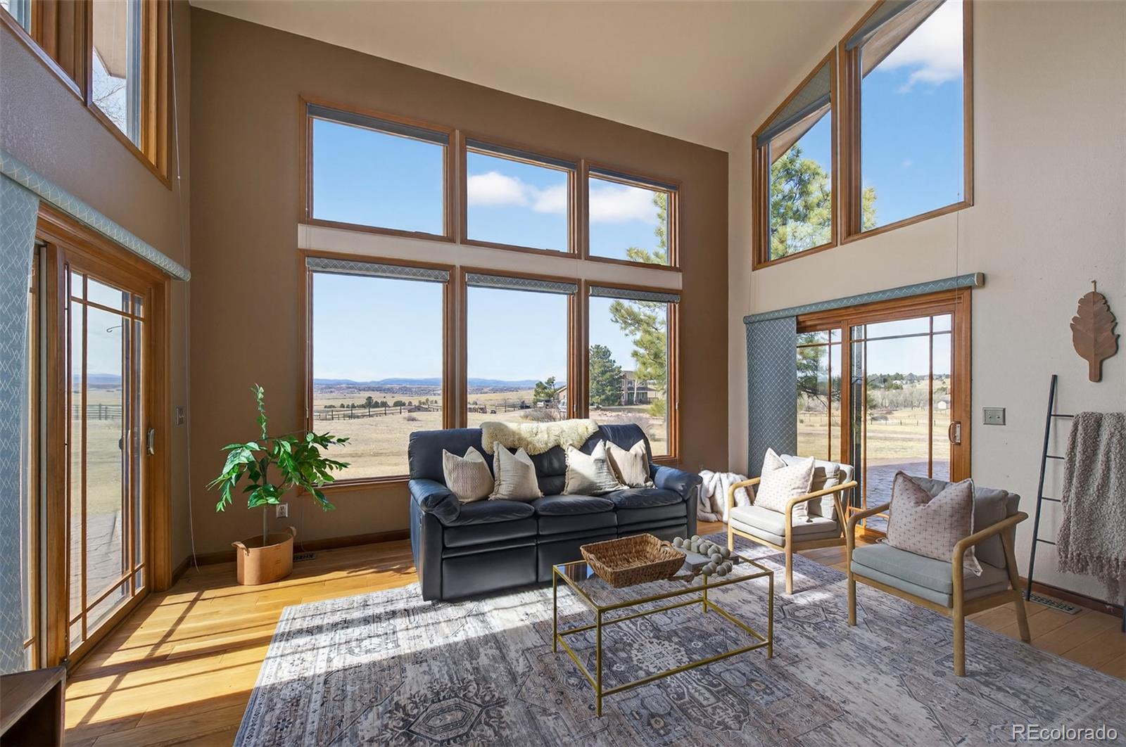 9696 E Sand Lily Lane Parker CO 80134
