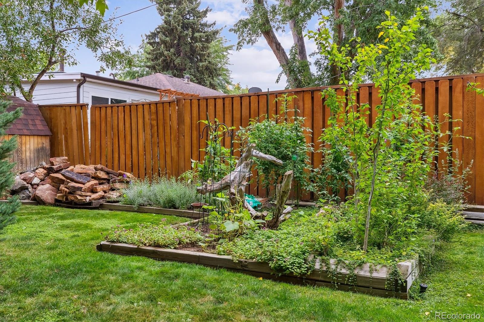 4455 Zephyr Street Wheat Ridge CO 80033