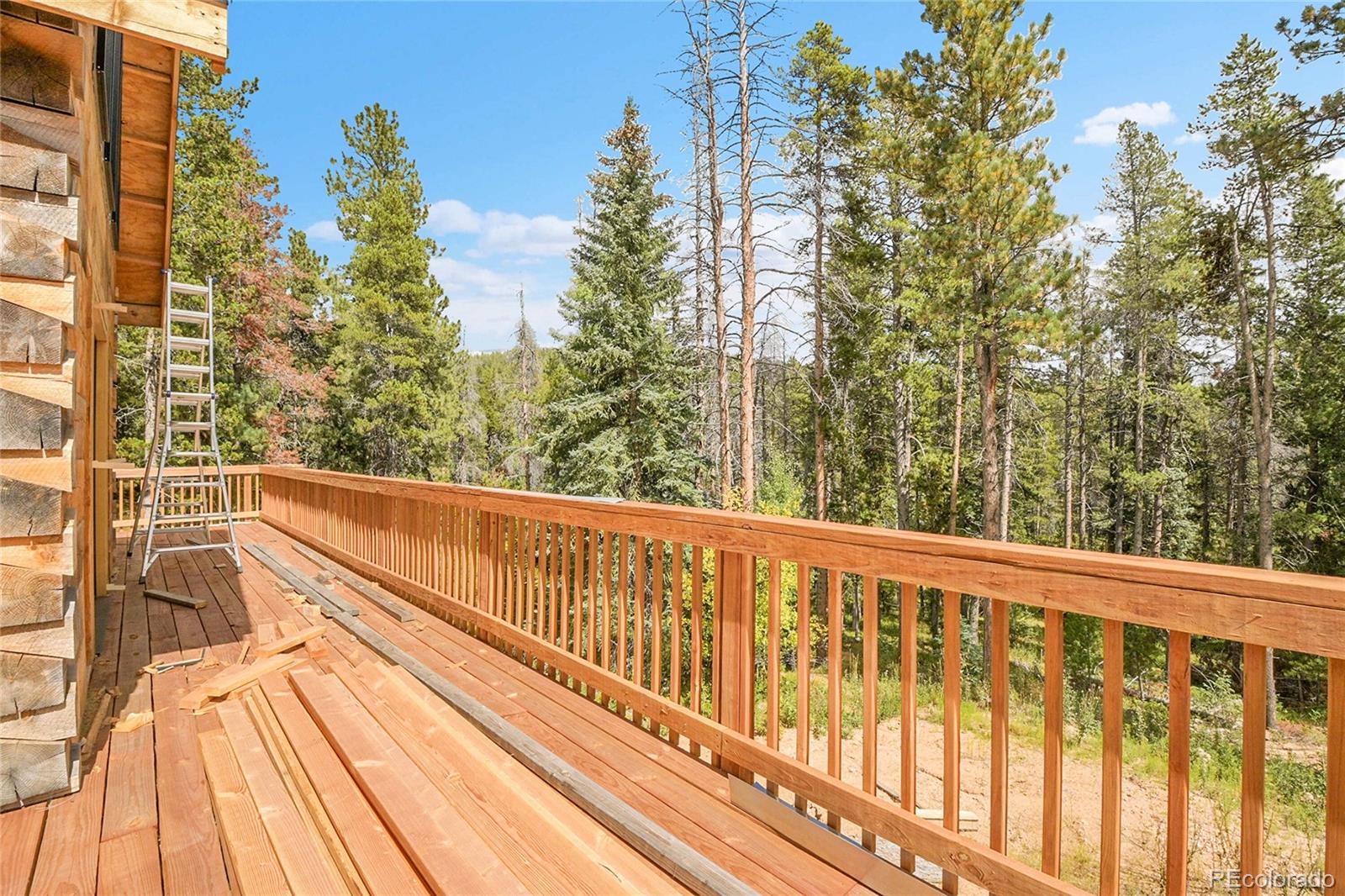 11156 Wallace Avenue Conifer CO 80433