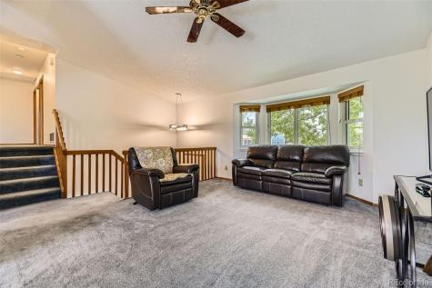 5713 Whitechapel Street Castle Rock CO 80104