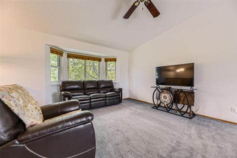 5713 Whitechapel Street Castle Rock CO 80104