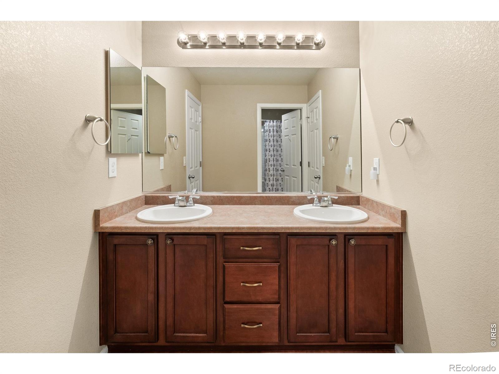5726 Graphite Street Timnath CO 80547