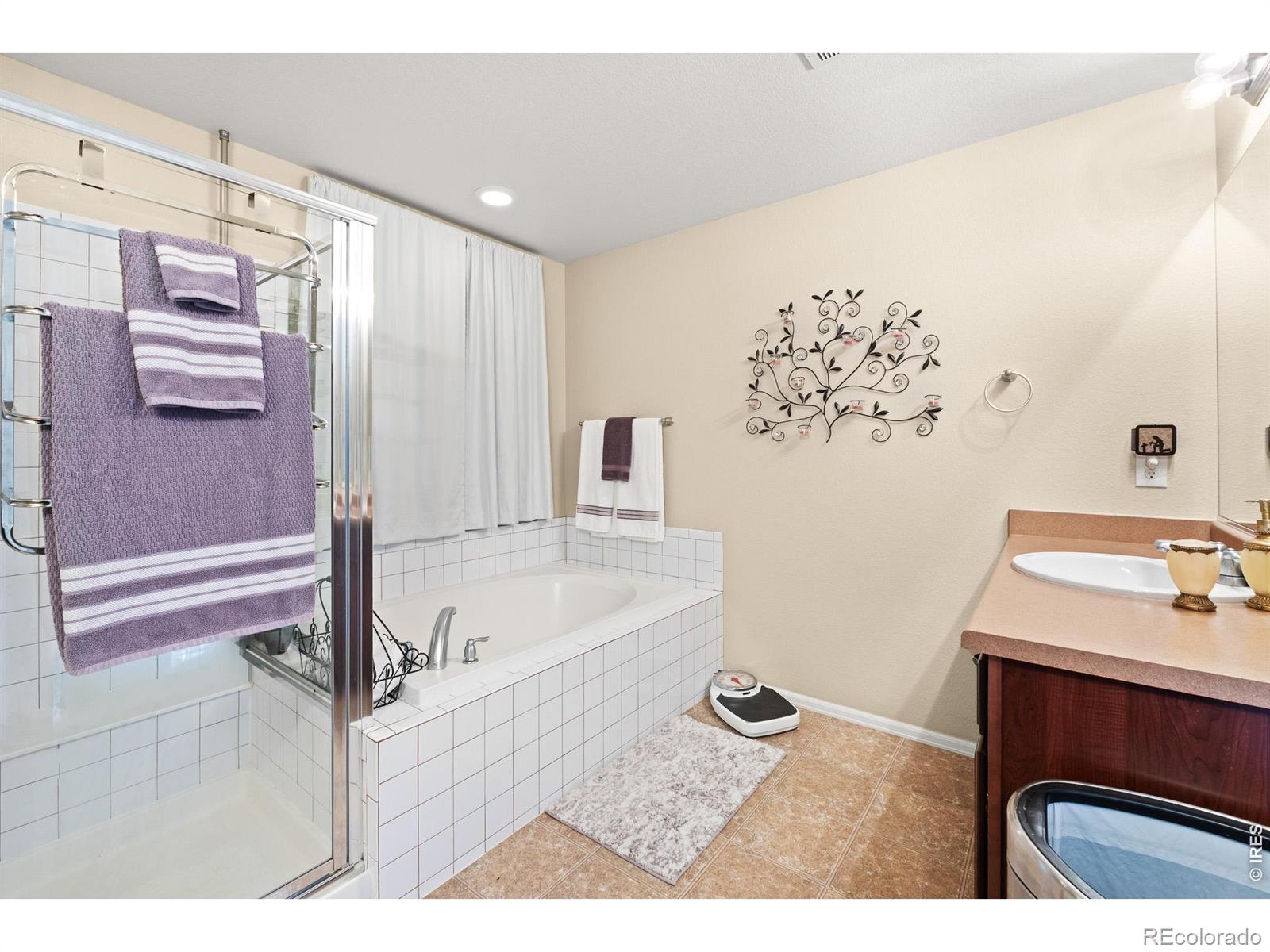 5726 Graphite Street Timnath CO 80547