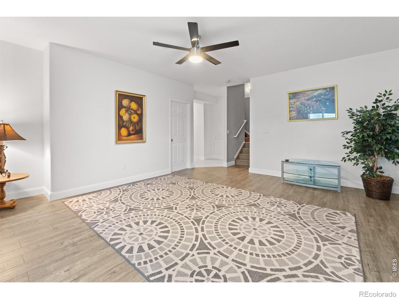 5726 Graphite Street Timnath CO 80547