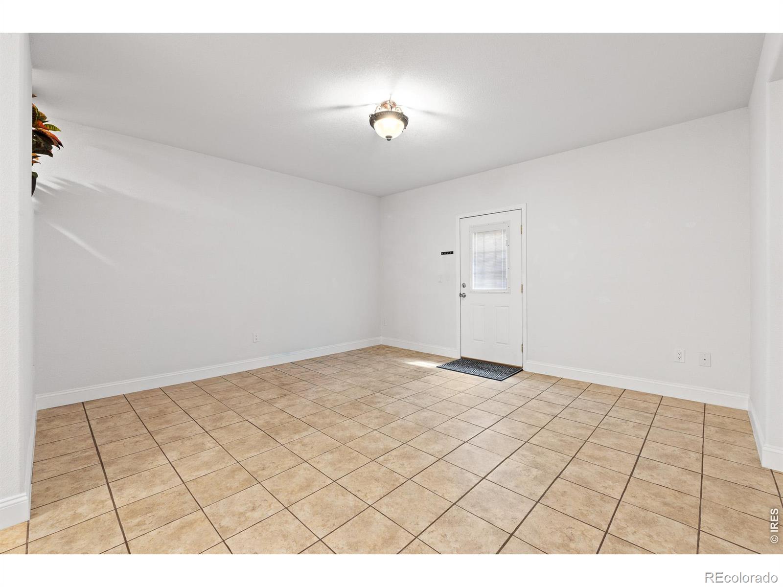 5726 Graphite Street Timnath CO 80547
