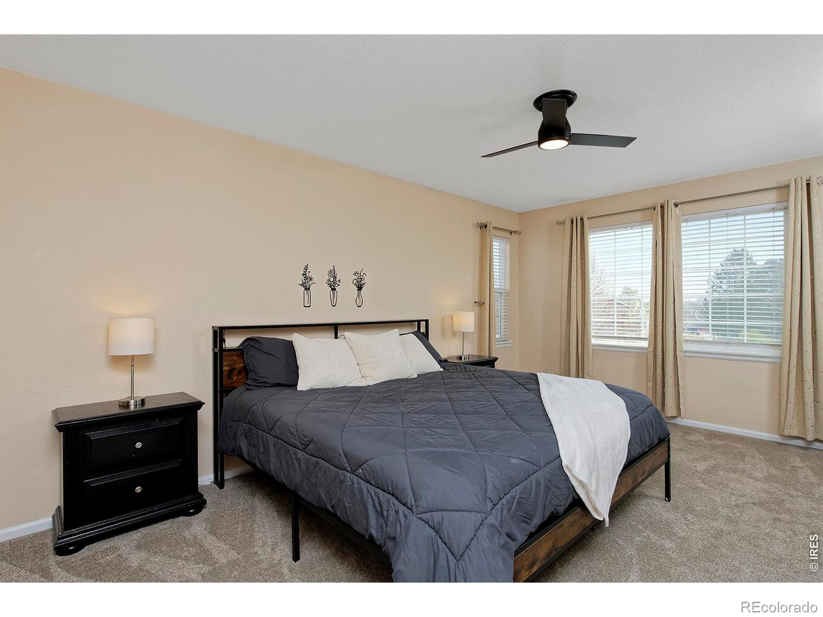 1209 Button Rock Drive Longmont CO 80504
