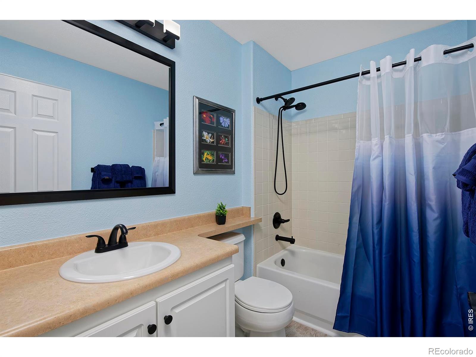 1209 Button Rock Drive Longmont CO 80504