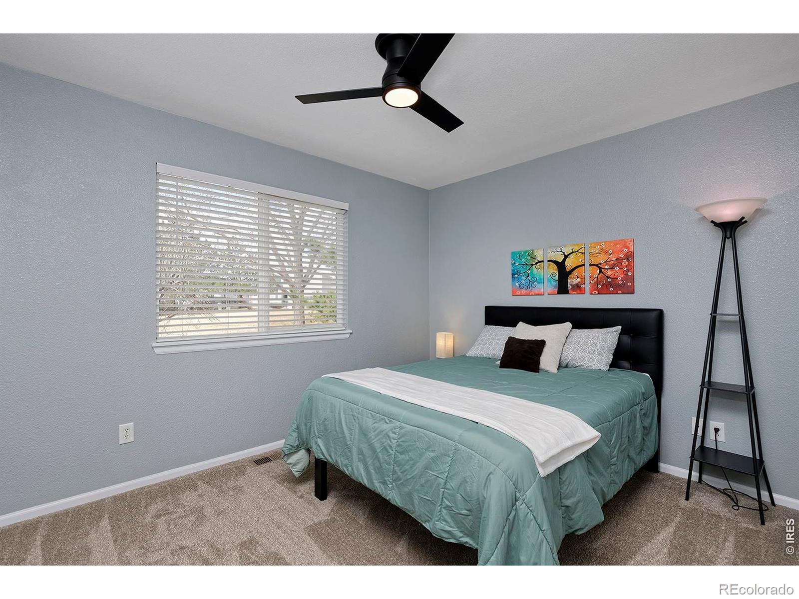 1209 Button Rock Drive Longmont CO 80504
