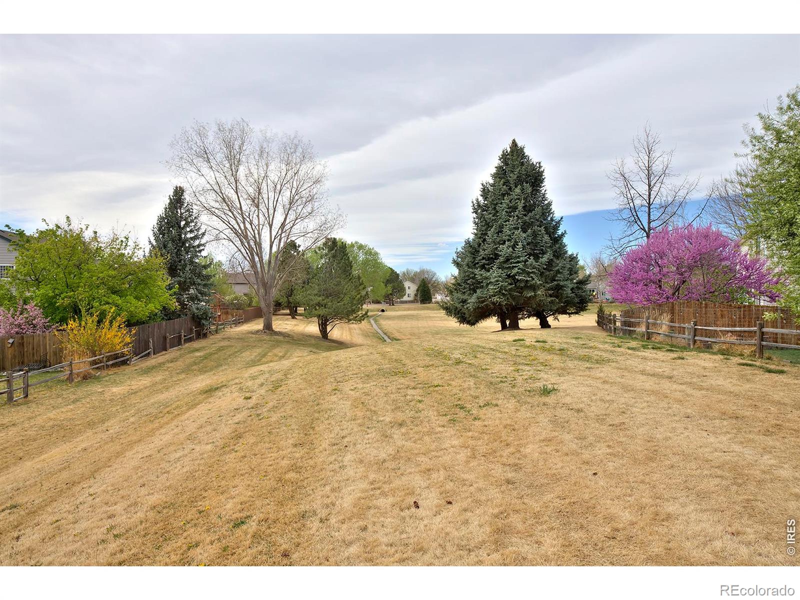 1209 Button Rock Drive Longmont CO 80504