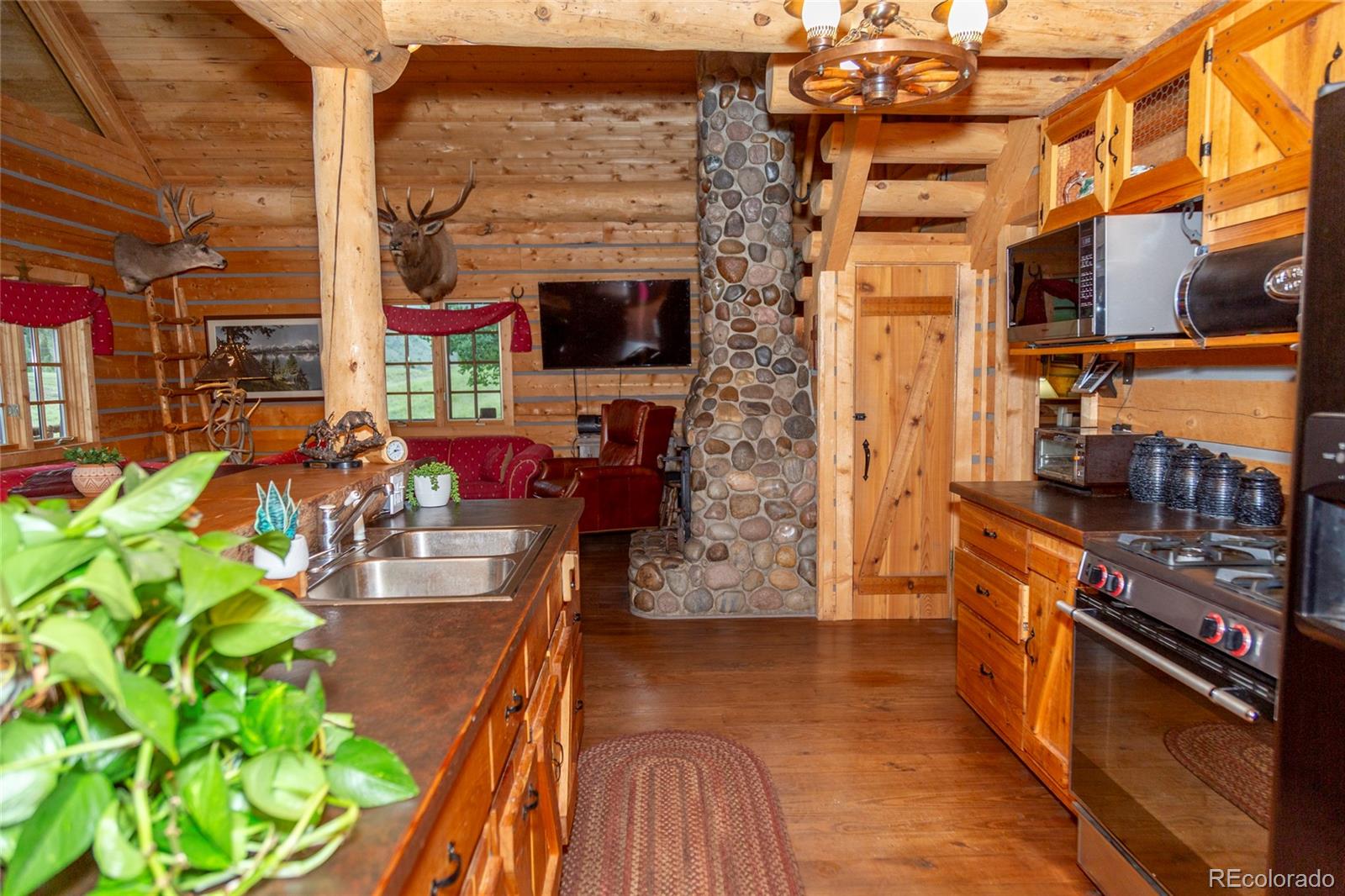 2150 Usfs Road 521 Creede CO 81130