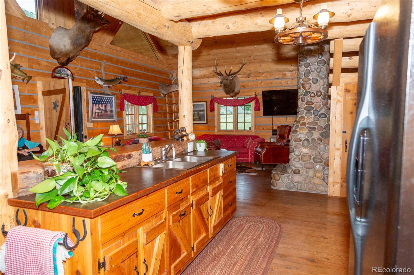 2150 Usfs Road 521 Creede CO 81130