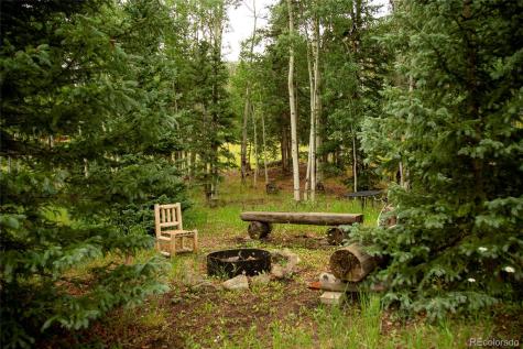 2150 Usfs Road 521 Creede CO 81130