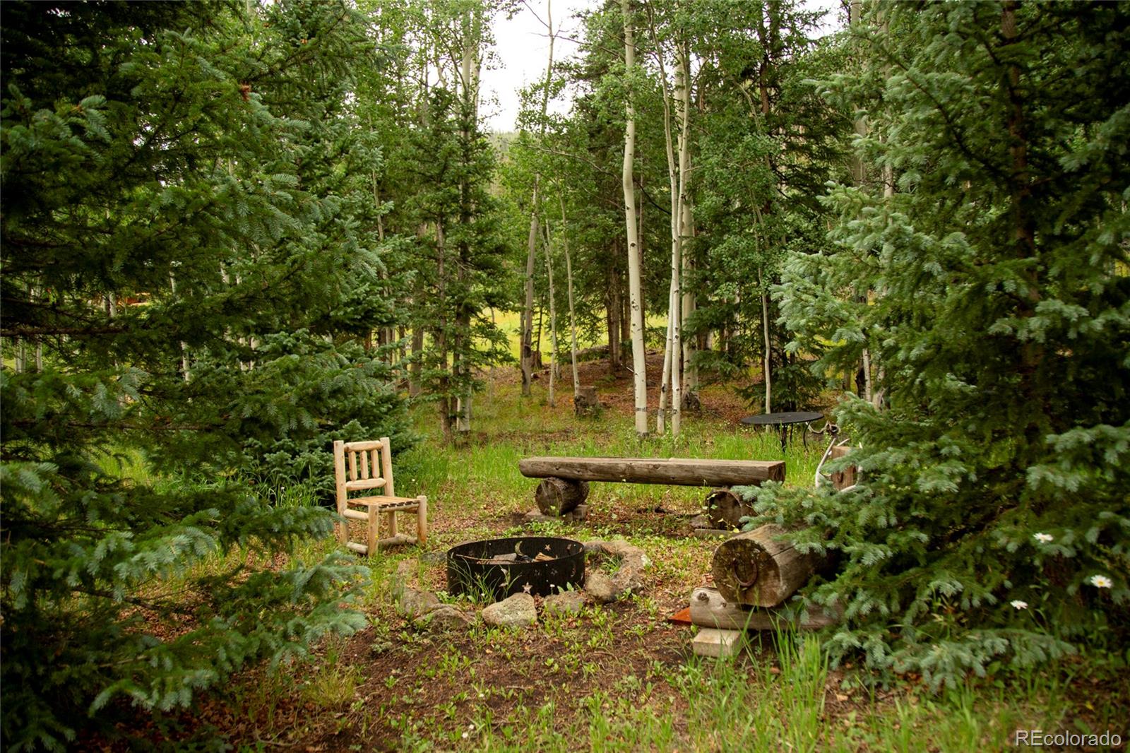 2150 Usfs Road 521 Creede CO 81130