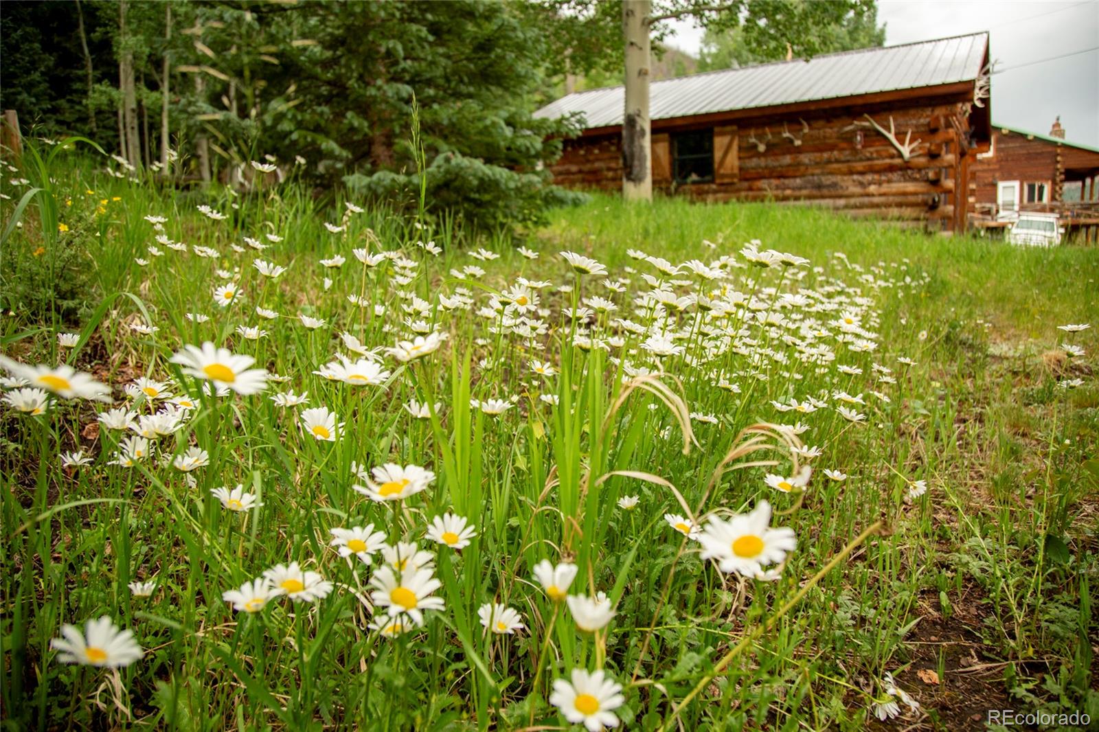 2150 Usfs Road 521 Creede CO 81130