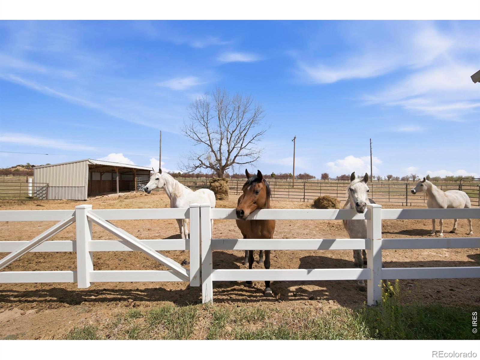 8952 Gander Valley Lane Windsor CO 80550