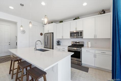 2595 Gray Wolf Place Castle Rock CO 80104