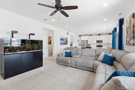 2595 Gray Wolf Place Castle Rock CO 80104