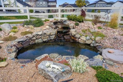 2595 Gray Wolf Place Castle Rock CO 80104